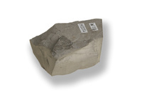 M 02254
<br/>
<br/>
<em></em>